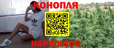 a pvp Балашиха