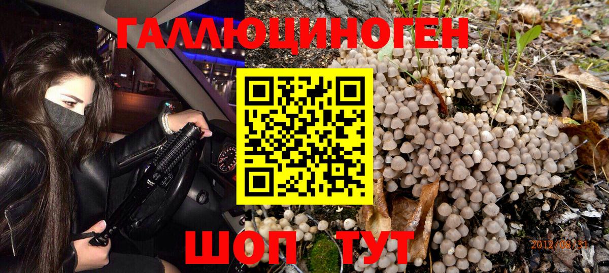 Галлюциногенные грибы Psilocybe  Вход с VPN  Долгопрудный 